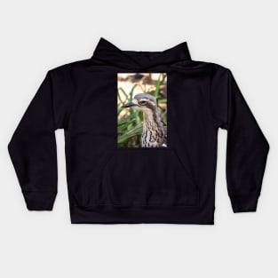 Close up of bush stone curlew bird. Kids Hoodie